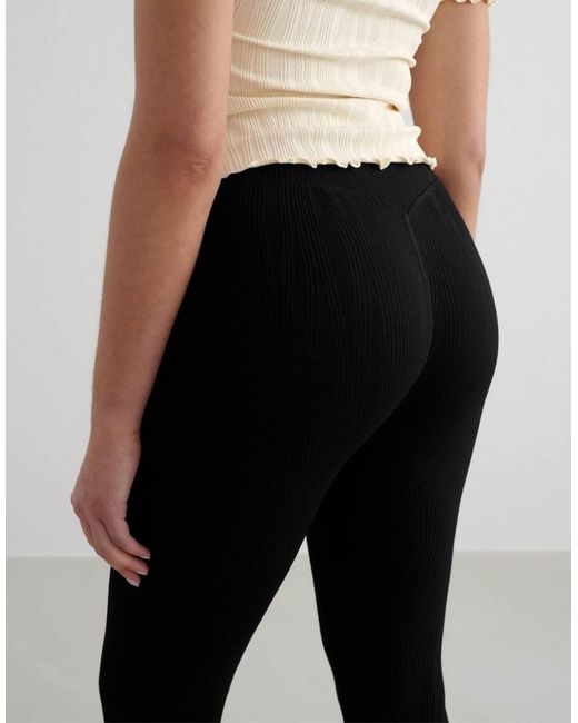 Aim'n Black Tulip Tights