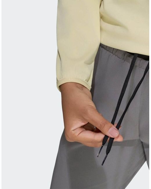 Adidas Originals Gray Terrex Multi Liteflex Pants