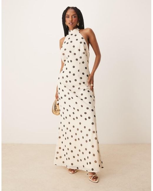 ANAYA Natural Polka Dot Halter Neck Maxi Dress