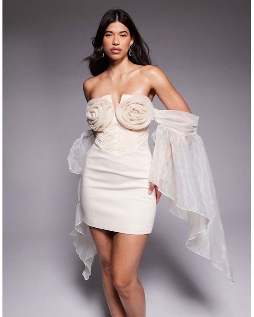 ASOS Gray Organza Sleeve Corsage Mini Dress