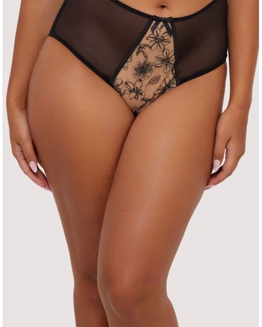 Playful Promises Brown Olivia Contrast Embroidery High Waist Brief