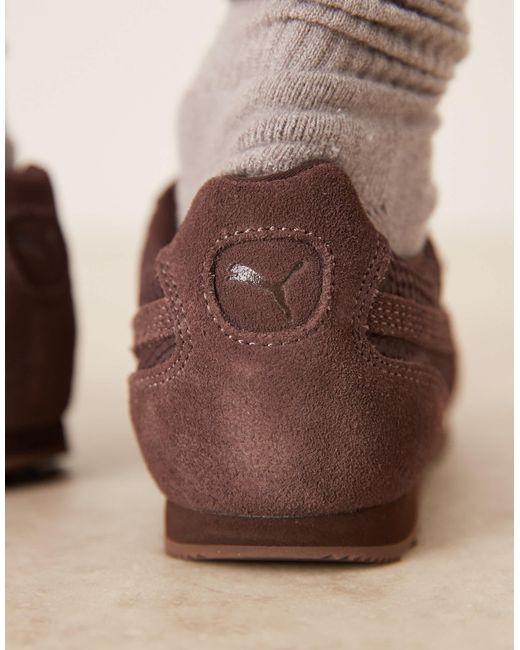 PUMA Brown – arizona python – sneaker