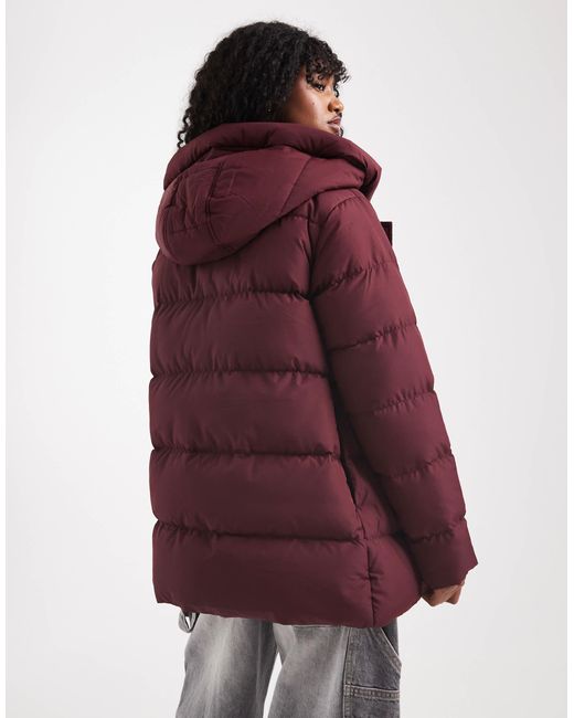 Doudoune courte à capuche - figue Threadbare en coloris Red