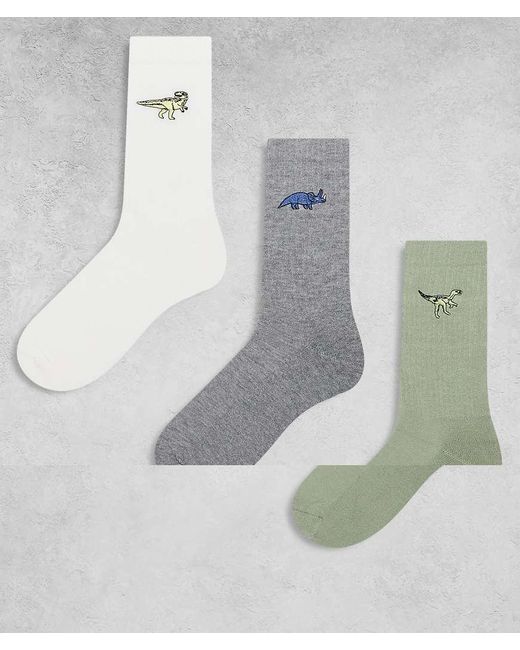 Confezione Da 3 Paia Di Calzini Multicolori Con Dinosauri Ricamati di ASOS in Gray da Uomo