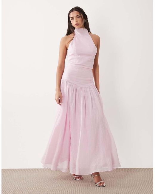Bardot Pink Harlow Cotton High Halter Neck Crop Top