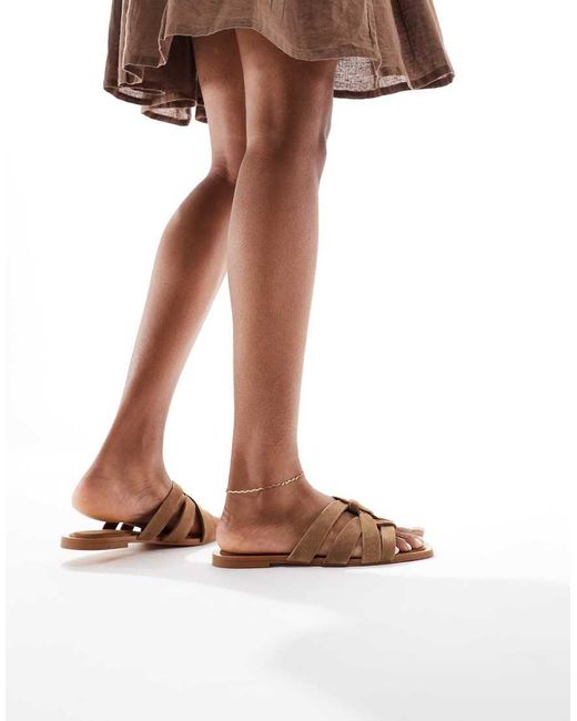 Sabot Bassi di Stradivarius in Brown