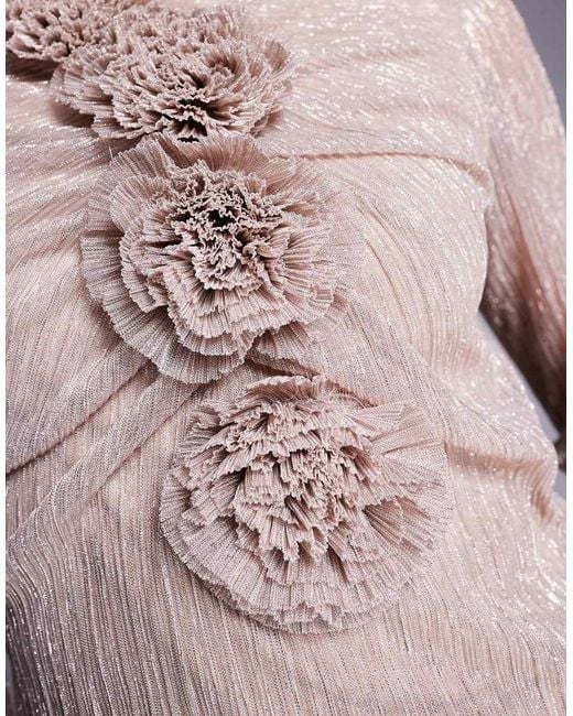 DASKA Top Van Mesh Met Lange Mouwen En Rozen in het Pink