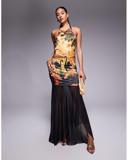 ASOS Multicolor Printed Mesh Highneck Halter Maxi Dress With Sheer Skirt