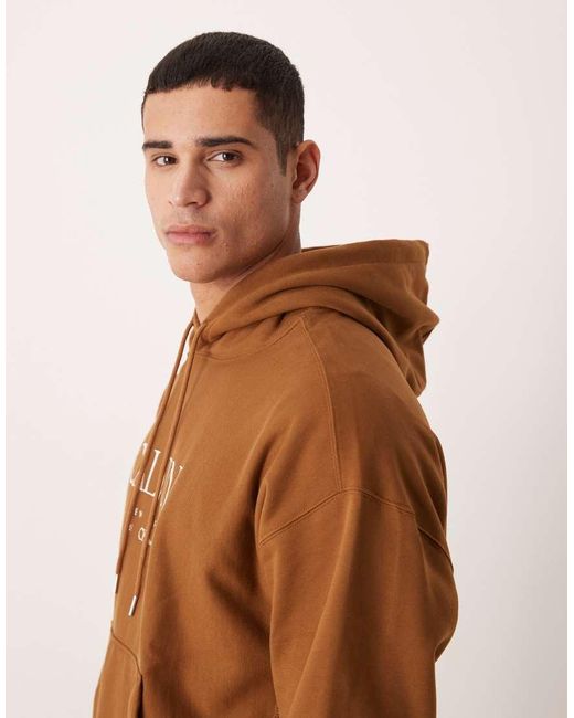 Calvin Klein Brown Calvin Klein Jean Chest Graphic Premium Hoodie for men