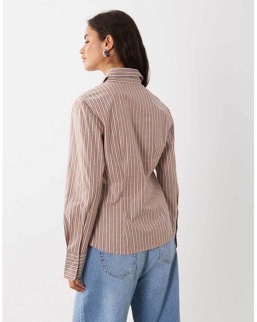 Mango Brown Classic Shirt