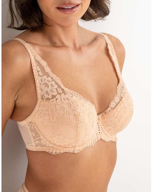 Pour Moi Brown Fleur Lightly Padded High Apex Underwired Bra
