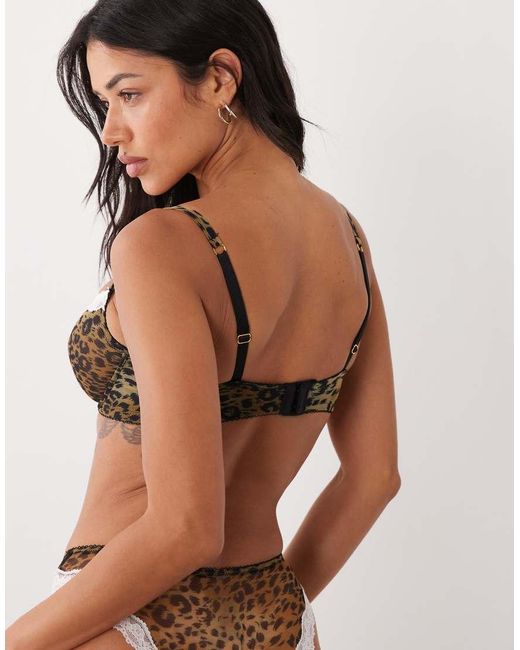 ASOS Multicolor Fuller Bust Savannah Sheer Mesh Leopard Print Underwire Bra With Cream Lace Trim