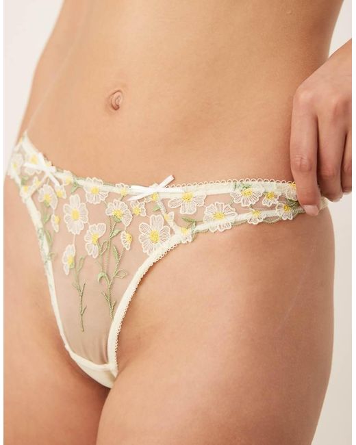 ASOS Natural Camille Premium Daisy Embroidery Lingerie Thong