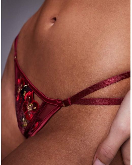 Ann Summers Natural Shimmering Thong