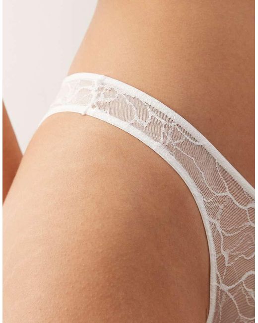 Weekday Brown 2-Pack Lace Brazilian Briefs