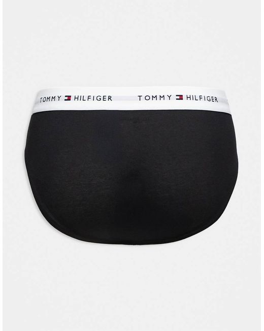 Tommy Hilfiger Blue Signature Cotton 3 Pack Logo Briefs for men