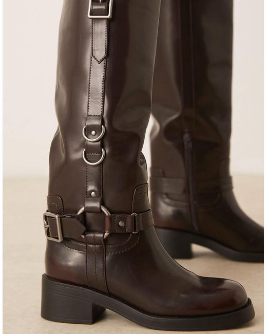 Cobra - bottes hauteur genou avec harnais et boucles avec détails métalliques argentés - bordeaux ASOS en coloris Black