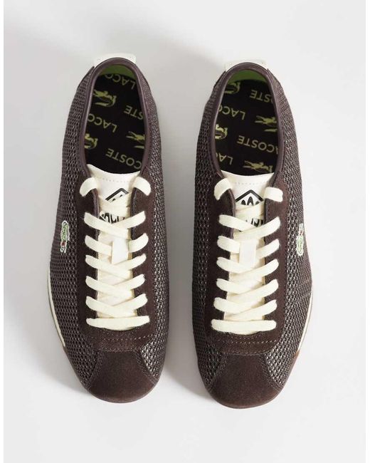 Lacoste Brown Club-low Logo Sneakers