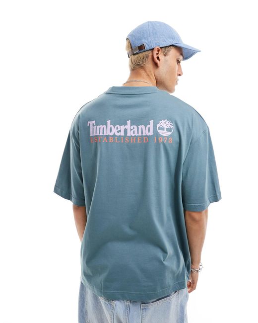 Timberland Blue Large Script Logo Back Print Oversized T-shirt for men