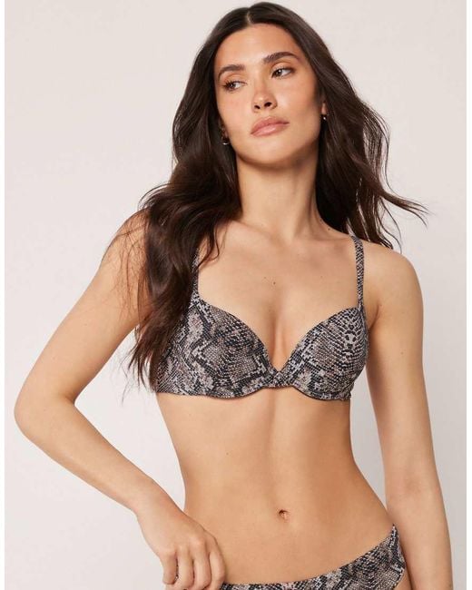 Calzedonia Black Push-Up Bikini Top Classic Snake
