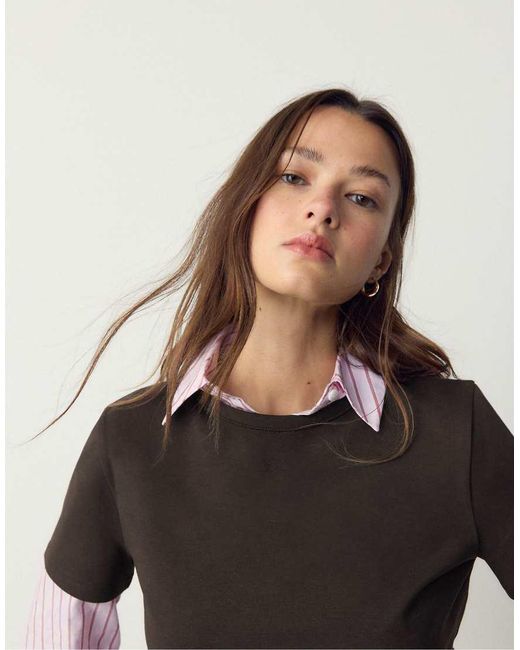 Stradivarius Brown Basic Regular Soft-Touch T-Shirt