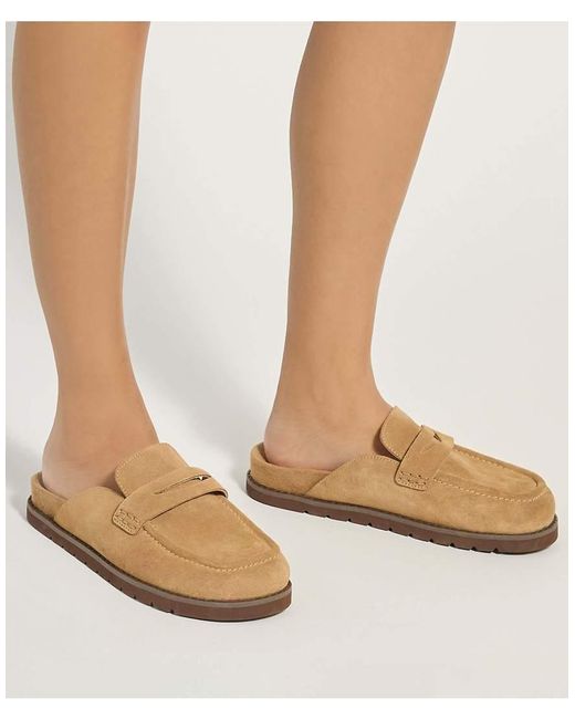 Dune Brown Goldens Mules