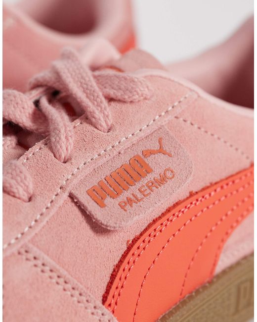Palermo - baskets - clair PUMA en coloris Pink