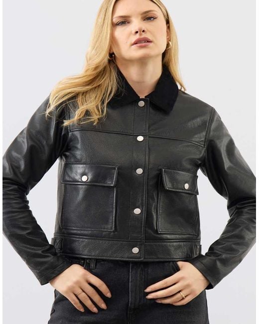 Bolongaro Trevor Gray Real Leather Caris Trucker