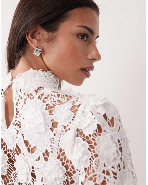 Bardot Natural Georgia Lace Top Co-ord