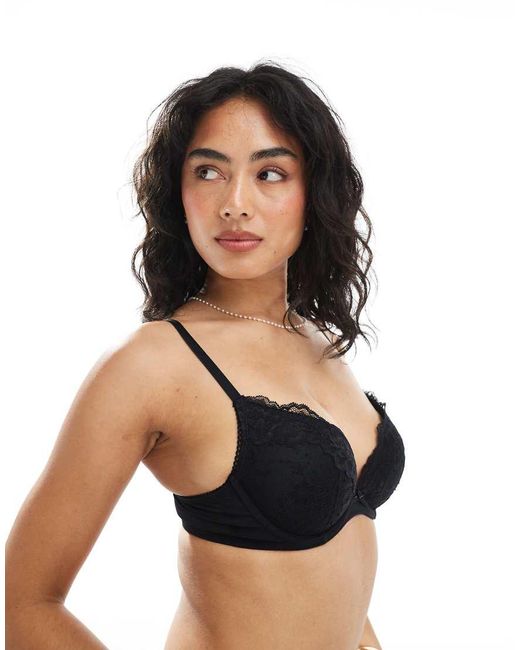 DORINA Black Origins Lace Padded Push Up Bra