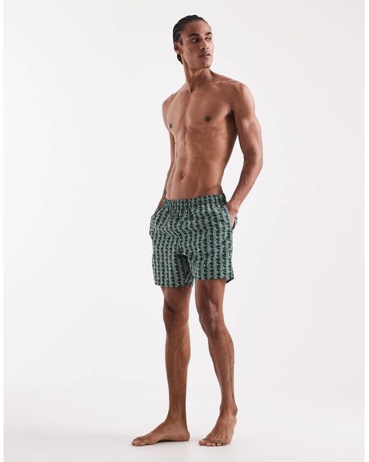 Lacoste Green Monogram Swim Shorts for men