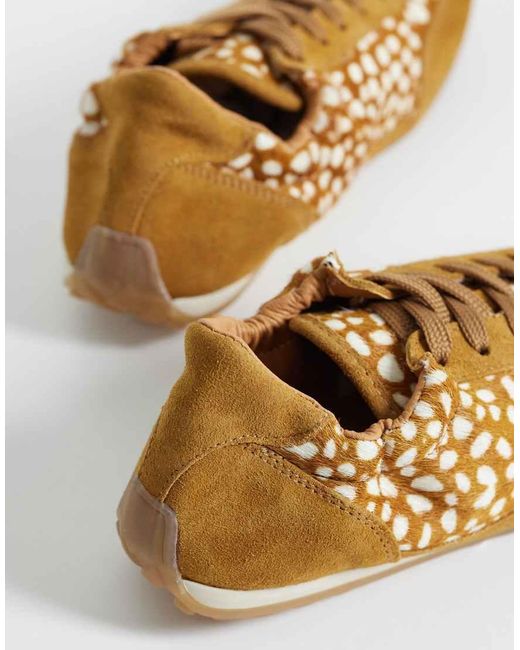 Steve Madden Brown Bobby Trainers