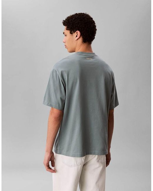 Calvin Klein Gray Relaxed Fit Graphic T-Shirt for men
