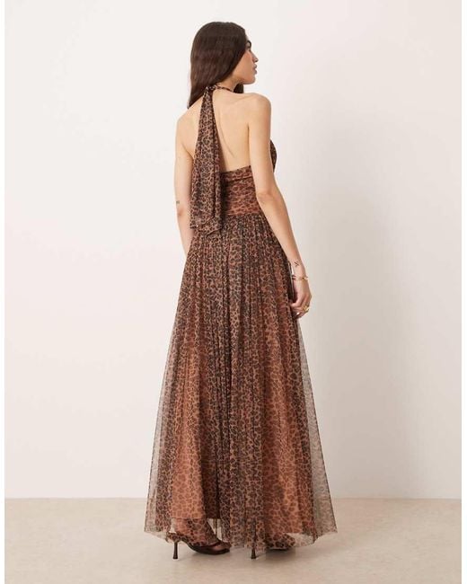 LACE & BEADS Brown Tulle Halter Lace Up Corset Detail Maxi Dress