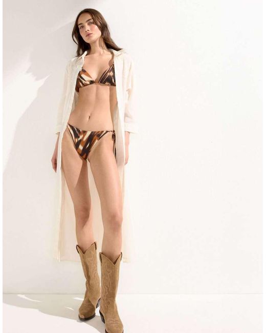 Calzedonia Brown Savage Shades