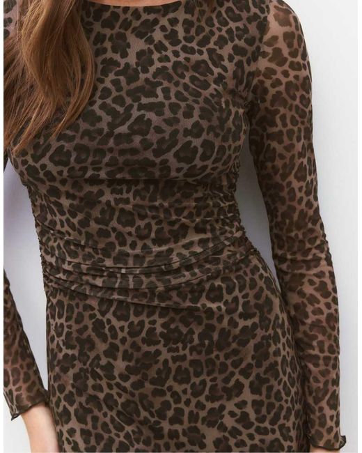 Stradivarius Brown Short Printed Tulle Dress