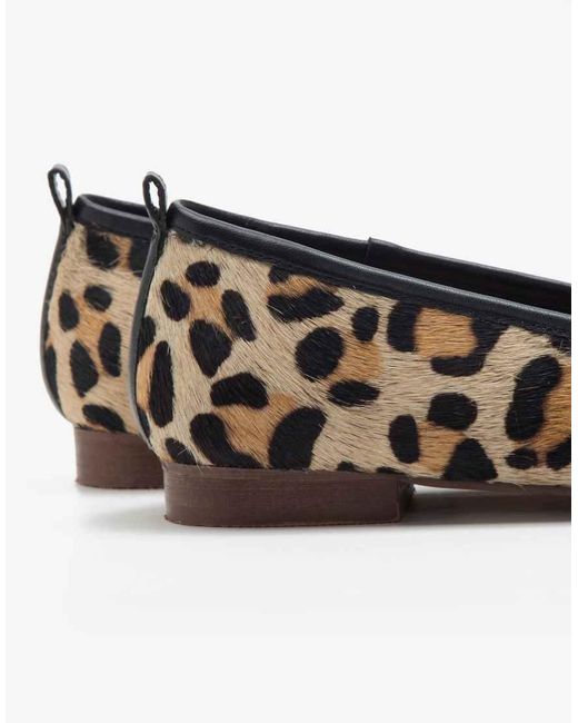 OFF THE HOOK Leren Ballerina's Met Luipaardprint in het Brown