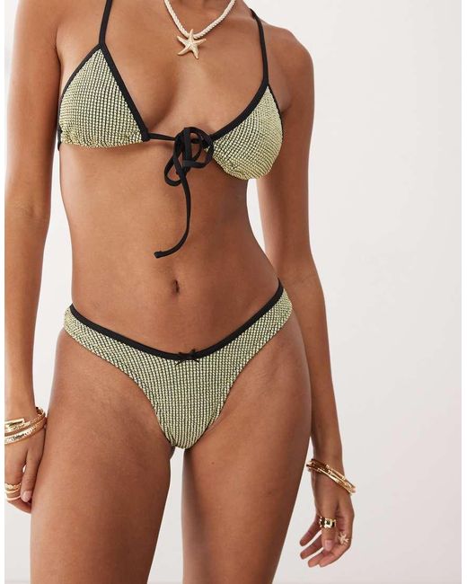 Ramirez di Lioness in Brown