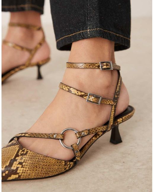 Sissi di ASOS in Multicolor