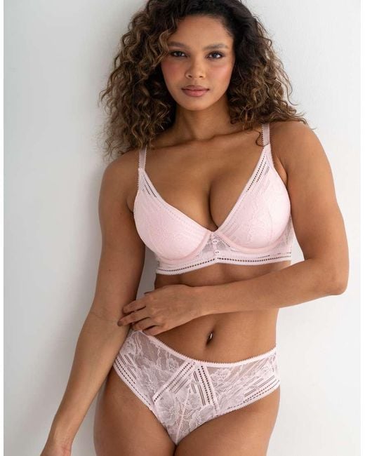 Pour Moi Brown Taylor Lace High Apex Push-Up Padded Plunge Bra