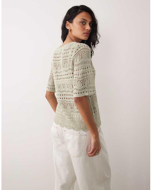 Jdy Brown Crochet Open Knit Half Sleeve Top
