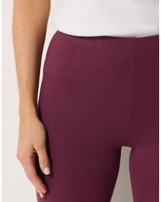 Long Tall Sally Purple Cotton Stretch Leggings