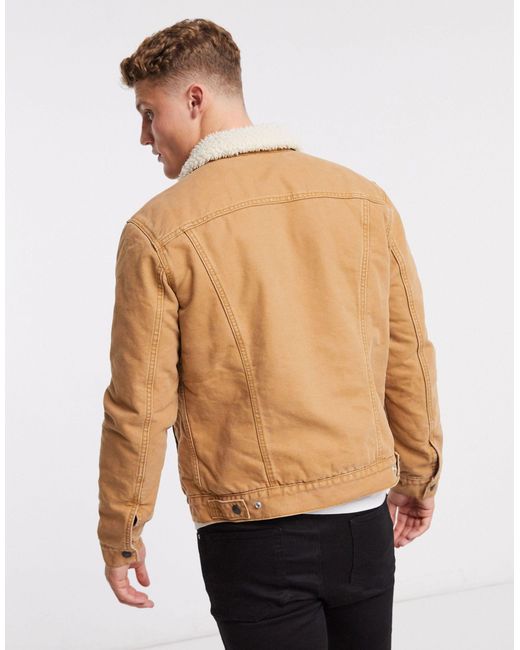 levis sherpa brown