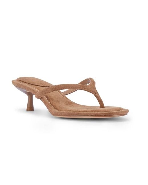 SEQWL Brown Thong Mule Kitten Heel Sandals With Minimalist Straps