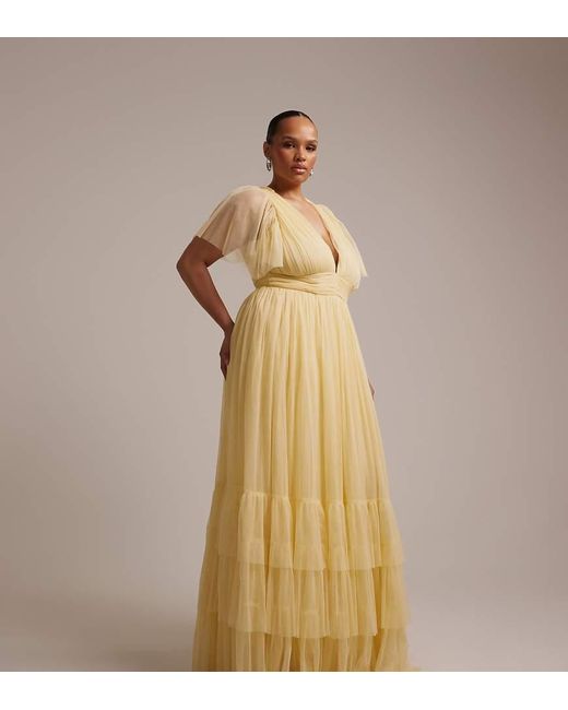 Lace & Beads Plus Natural Bridesmaid Madison Flutter Sleeve Maxi Dress
