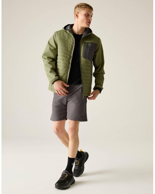 Dare 2b – winddichte bergsteiger-softshelljacke in Green für Herren
