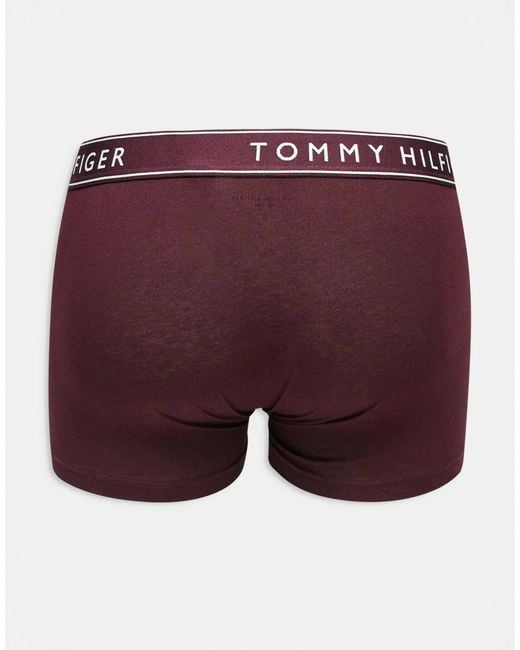 Everyday essentials - lot Tommy Hilfiger pour homme en coloris Blue