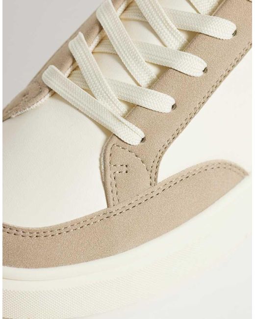 ASOS Natural Lace Up Sneakers With Green Heel Notch for men