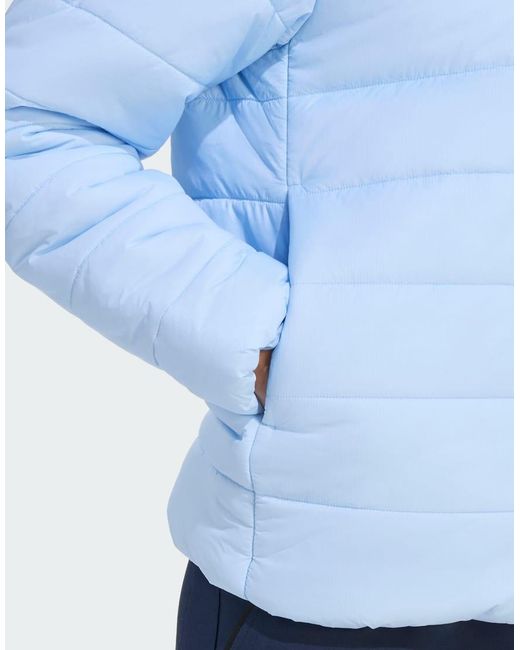 Adidas Originals Blue Terrex Multi Essentials Insulated Jacket