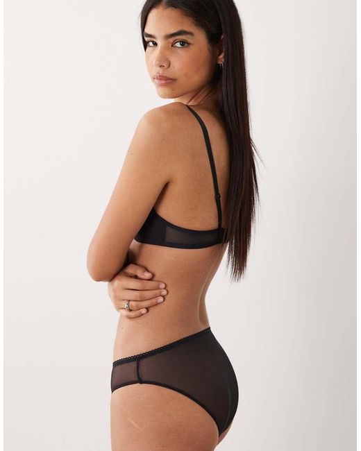 DORINA Brown Lincoln 2 Pack Brief